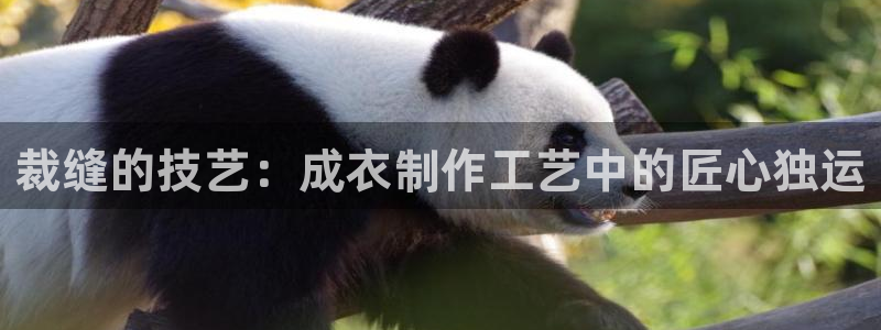 辰天娱乐