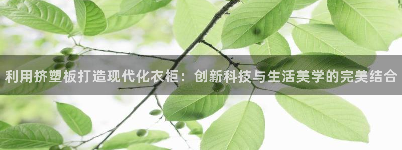 天辰娱乐国际