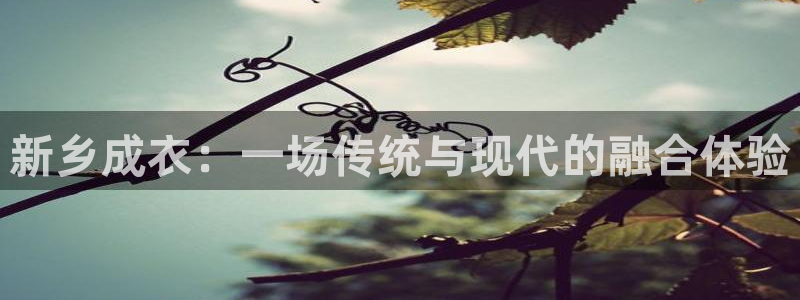 天辰娱乐51137