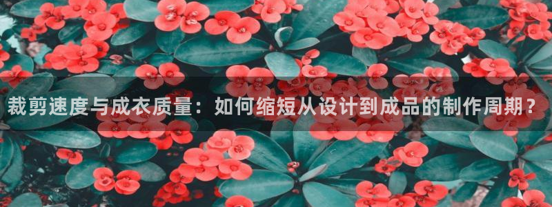 天辰娱乐十分彩
