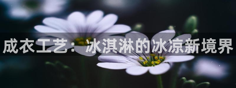 天辰娱乐APP下载