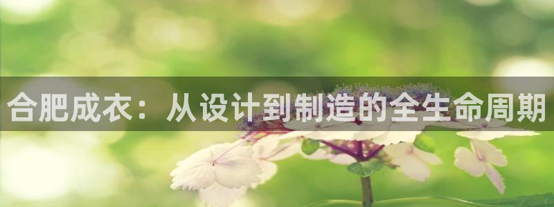 天辰娱乐下载链接