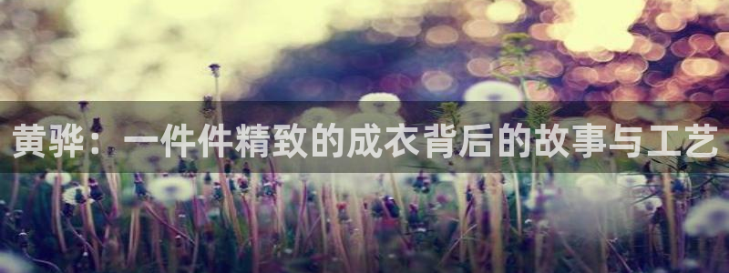 天辰娱乐所