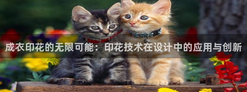 天辰娱乐557696