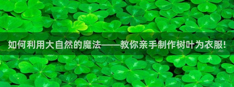 天辰娱乐简介
