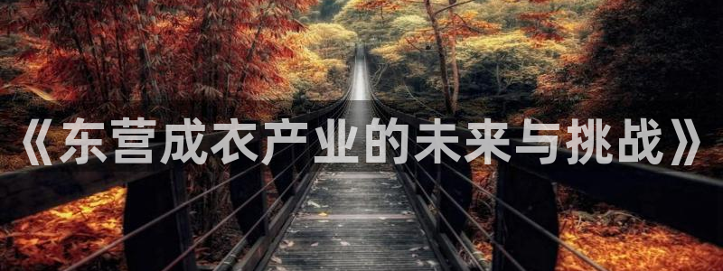 天辰娱乐解封
