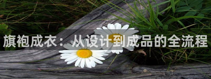 天辰娱乐海洋