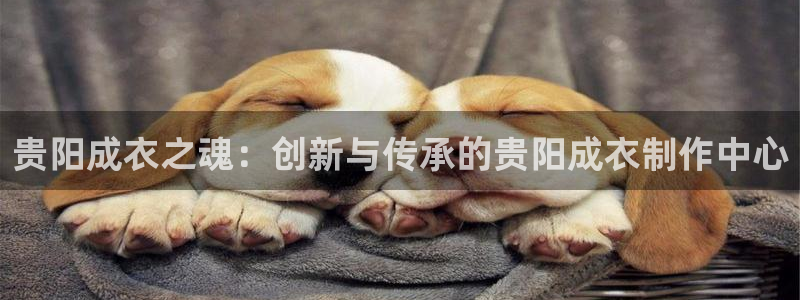 天辰娱乐内部