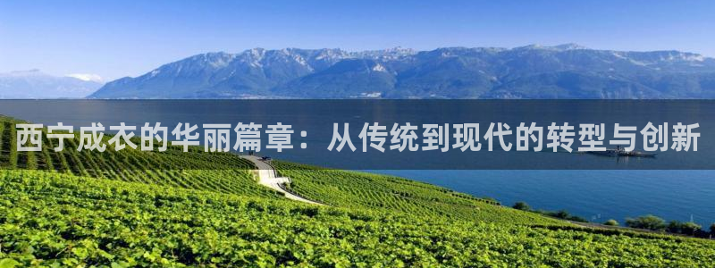 天辰臣娱乐