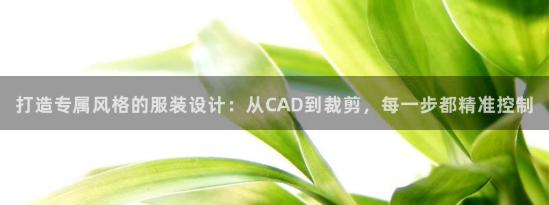 深圳天辰娱乐