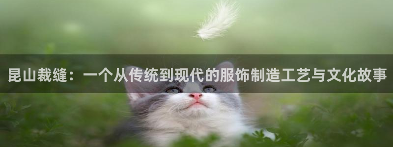 天辰娱乐下载地址