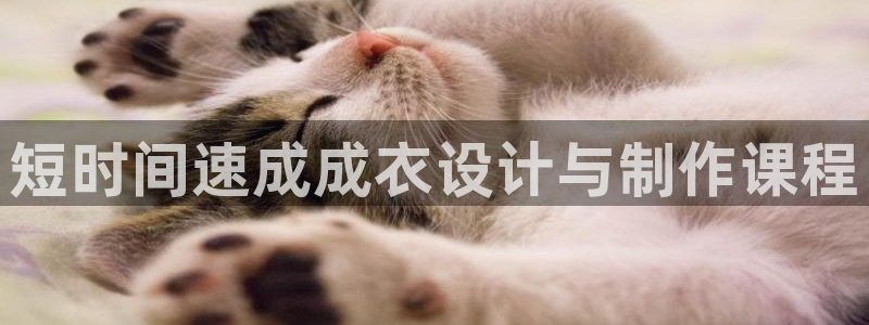 天辰娱乐论坛