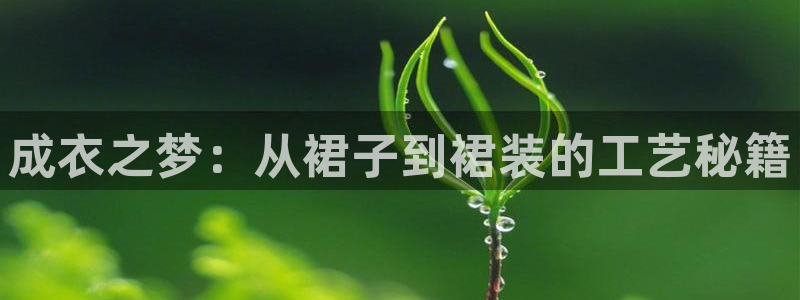 天辰娱乐老板