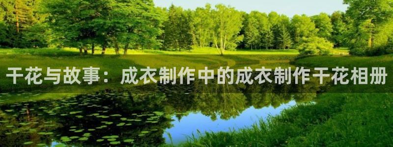 天辰娱乐招商