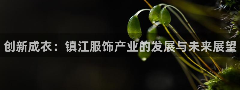 天辰娱乐 849852