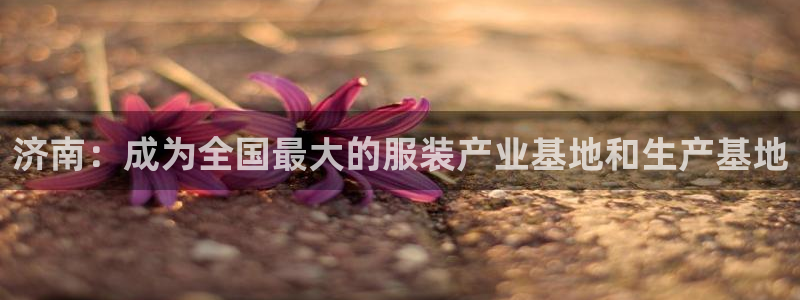 天辰娱乐平台app下载