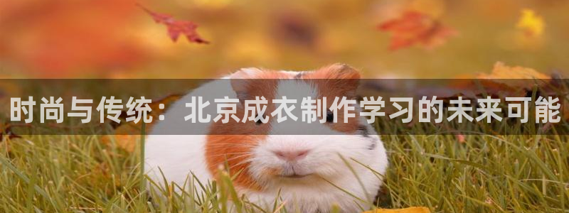 天辰娱乐主管