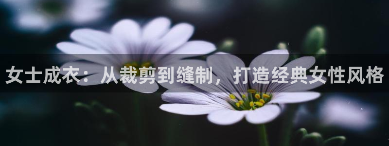 天辰国际娱乐