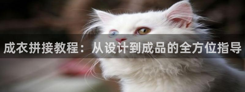 天辰娱乐下载地址