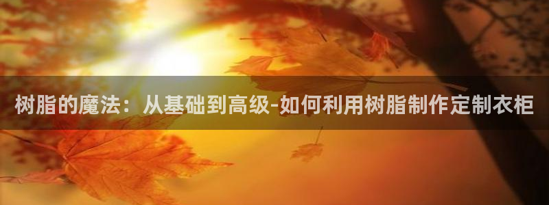 天辰娱乐小妹