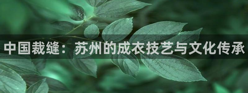 天辰娱乐游客
