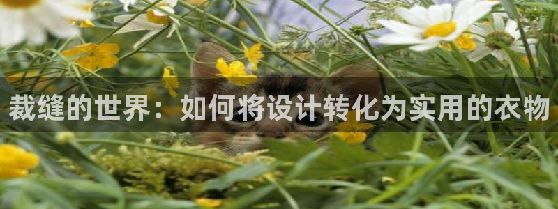 天辰娱乐娱乐平台