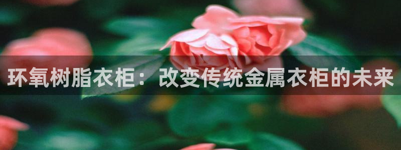 天辰天富娱乐登录