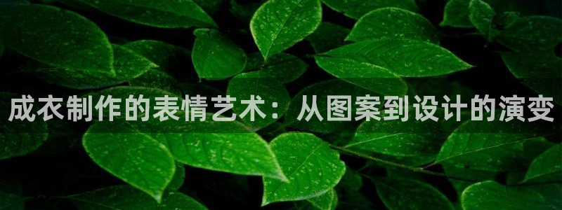 天辰娱乐60447