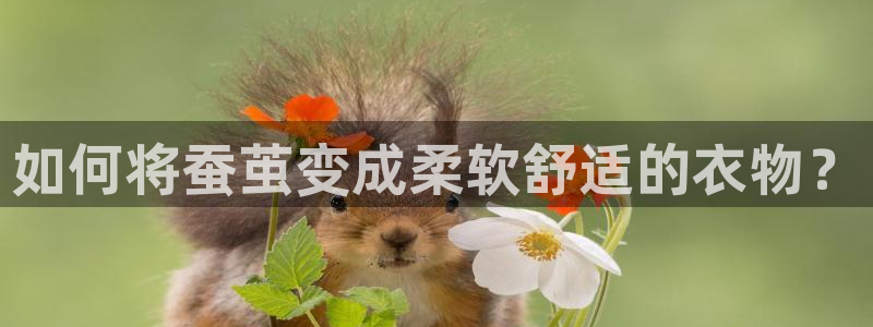天辰娱乐app