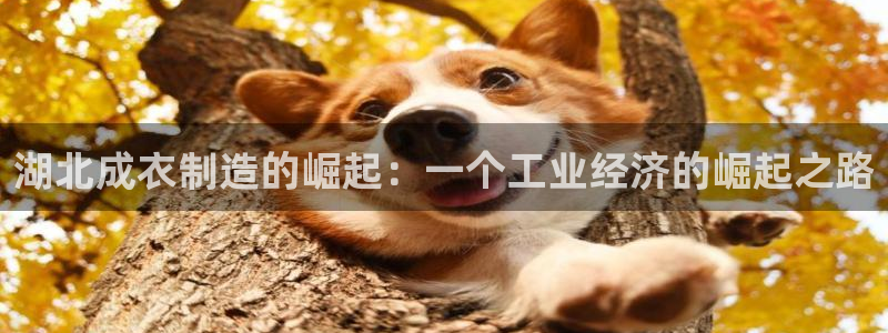 天辰娱乐新
