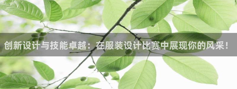 天辰娱乐平台注册
