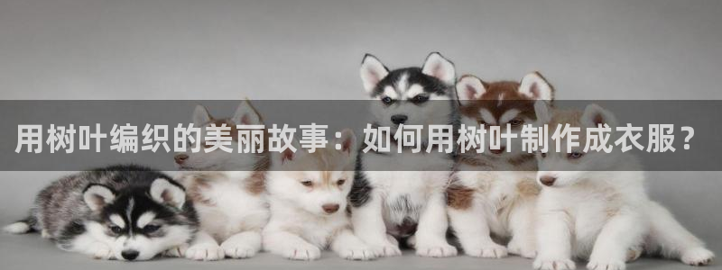 天辰娱乐解封