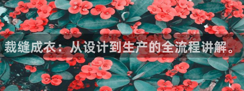 手机上怎么下载天辰娱乐